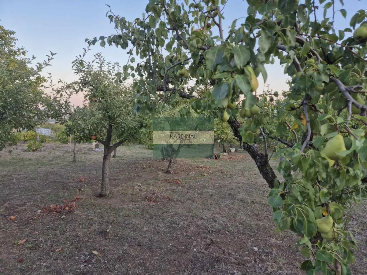 Prodaja, plac, 27920m², Siokovac, Jagodina