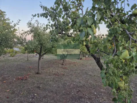 Prodaja, plac, 27920m², Siokovac, Jagodina - image 2