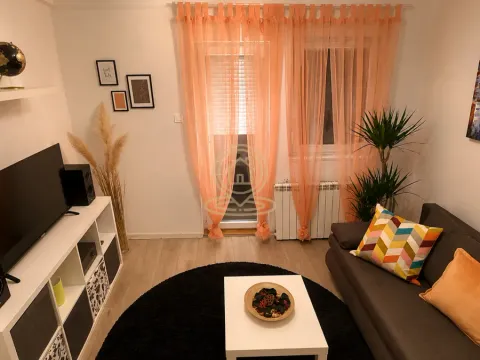 Izdavanje, dvosoban stan, 55m², Stari Grad, Beograd - image 3