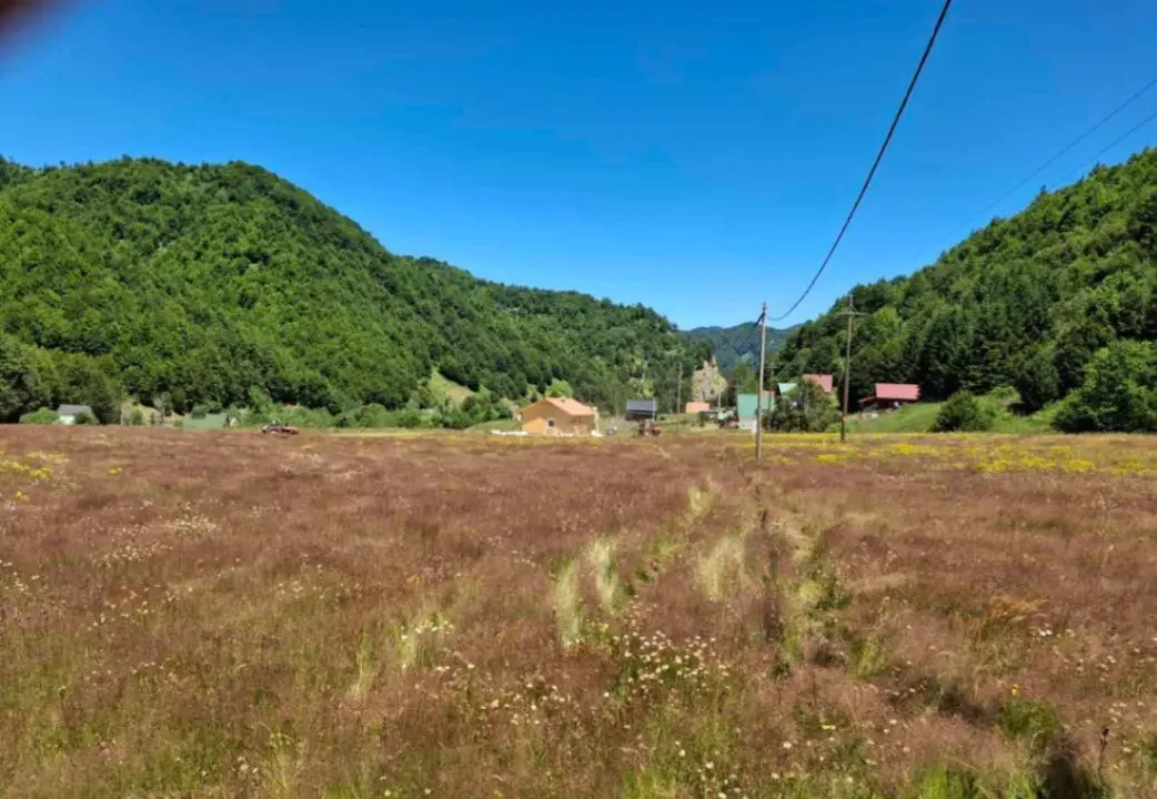 Prodaja, plac, 70000m², Veruša, Podgorica