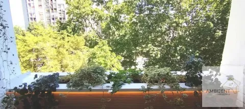 View from the balcony with flower boxes and greenery. - image 19