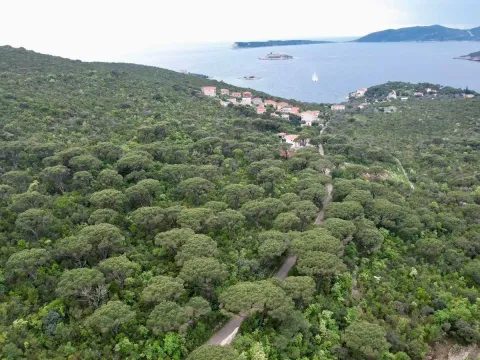 Prodaja, plac, 1046m², Herceg Novi, Crna Gora - image 11