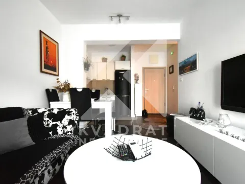 Rent, one bedroom apartment, 48m², Vezirov Most, Podgorica - image 2