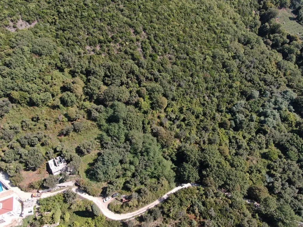 Prodaja, plac, 14000m², Kumbor, Herceg Novi