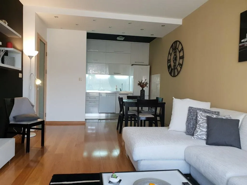 Rent, one bedroom apartment, 55m², Preko Morače, Podgorica