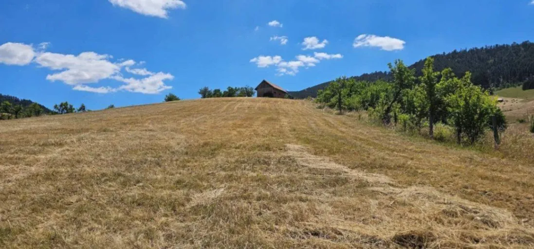 Prodaja, plac, 7400m², Zlatibor, Srbija