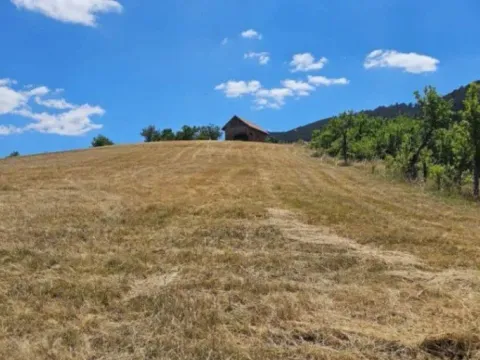 Sale, land lot, 7400m², Zlatibor, Srbija - image 3
