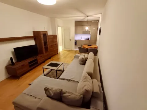 Rent, one bedroom apartment, 49m², Central Point, Podgorica - image 3