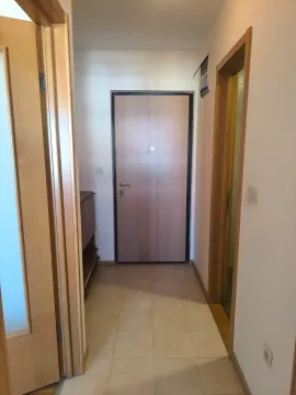 Prodaja, jednosoban stan, 45m², Stari Aerodrom, Podgorica - image 4