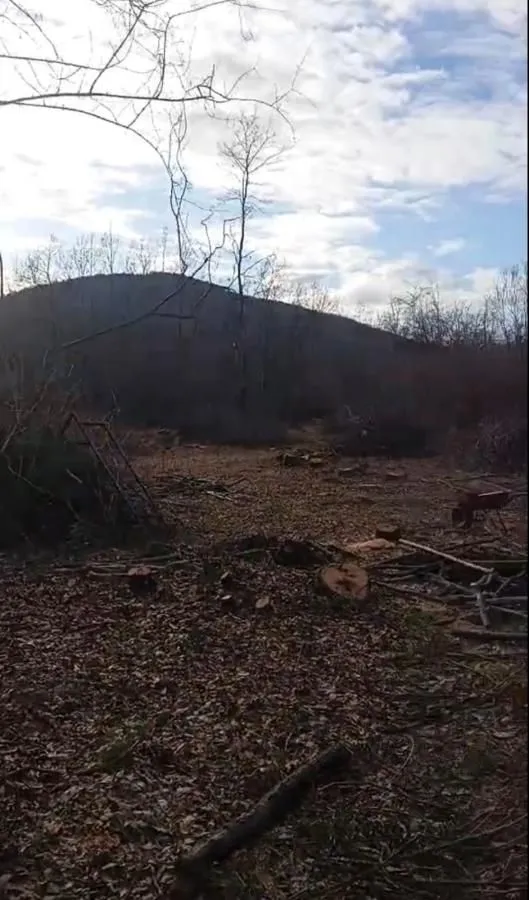 Prodaja, plac, 20000m², Bandići, Danilovgrad