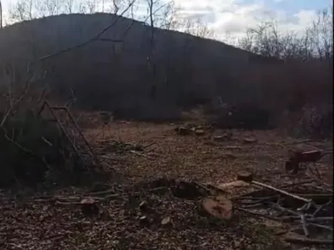 Prodaja, plac, 20000m², Bandići, Danilovgrad - image 4