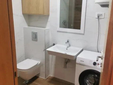 Izdavanje, dvosoban stan, 45m², Centar, Novi Sad - image 11