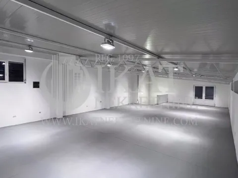 Izdavanje, poslovni prostor, 300m², Zemun Sve Podlokacije, Beograd - image 6