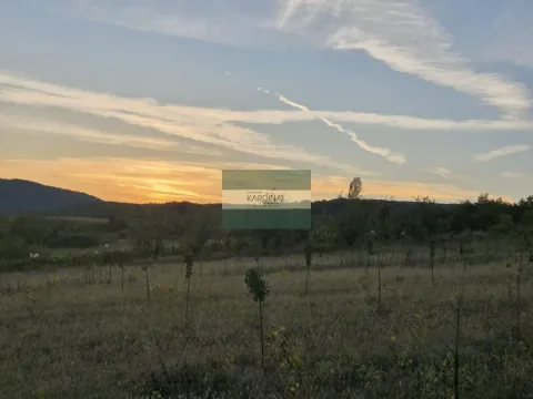 Prodaja, plac, 27920m², Siokovac, Jagodina - image 12