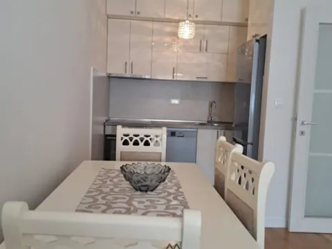 Izdavanje, jednosoban stan, 46m², Central Point, Podgorica - image 2