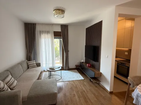 Rent, two bedroom apartment, 70m², Vezirov Most, Podgorica - image 2
