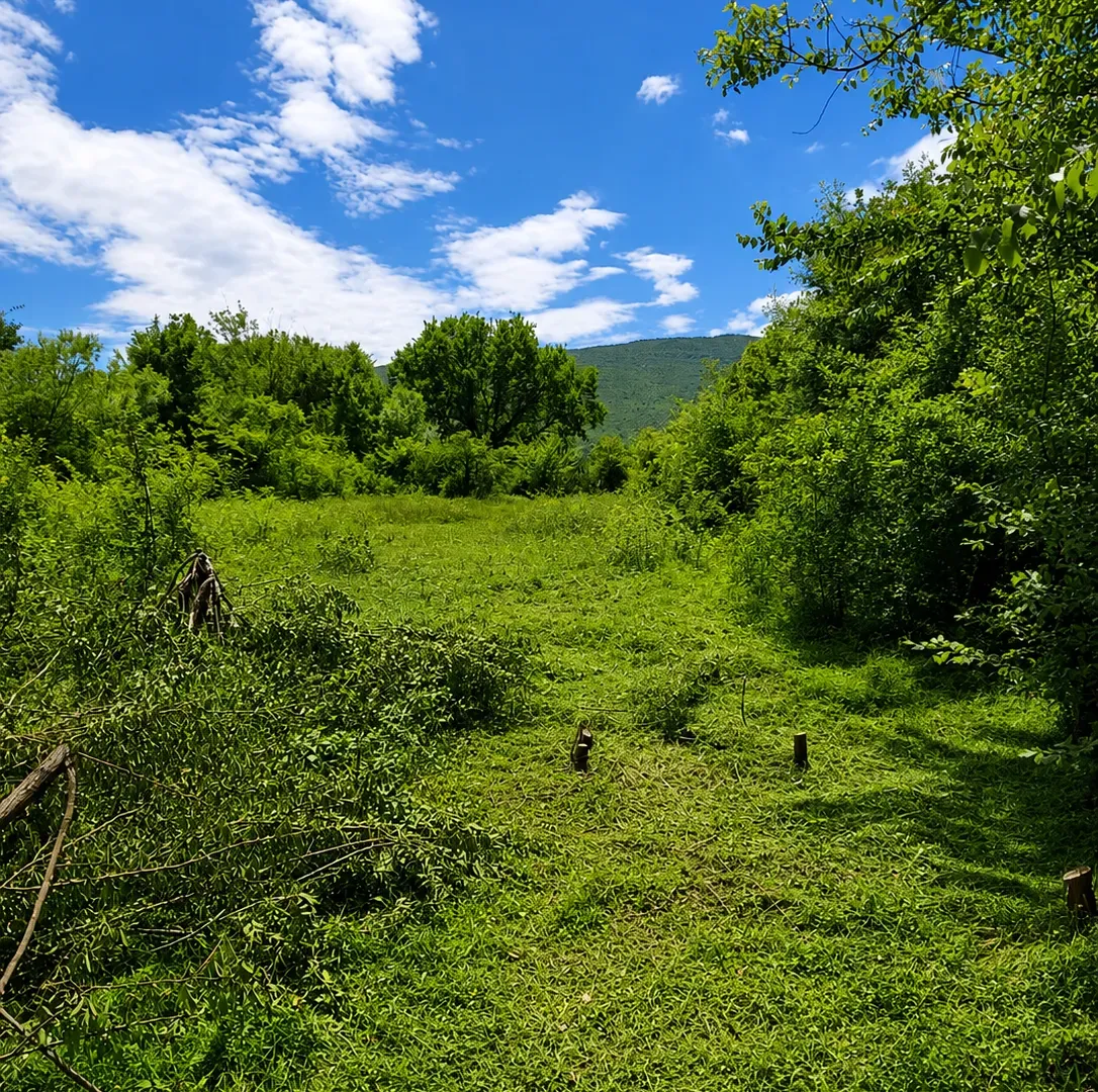 Prodaja, plac, 1322m², Tološi, Podgorica
