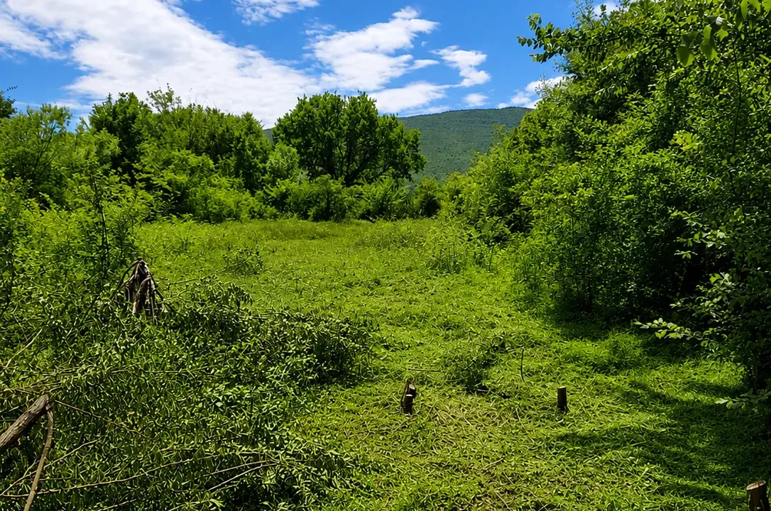 Sale, land lot, 1322m², Tološi, Podgorica