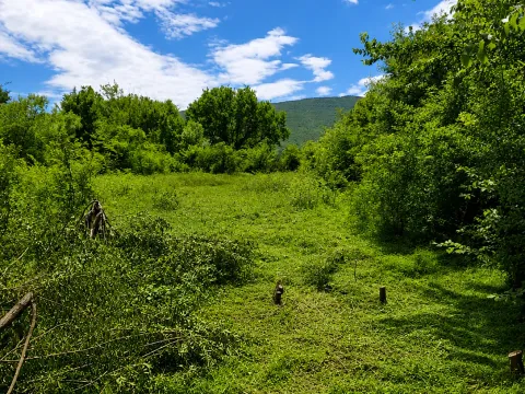 Zemljište in Tološi