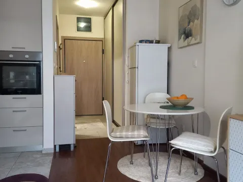 Izdavanje, stan, 30m², Master Kvart, Podgorica - image 10