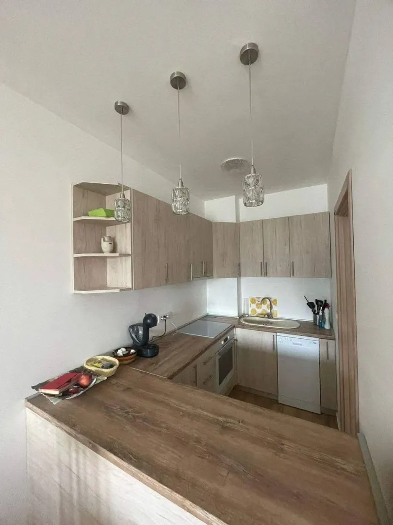 Izdavanje, jednosoban stan, 47m², Golubovina, Budva