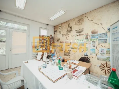 Izdavanje, poslovni prostor, 370m², Stari Aerodrom, Podgorica - image 6