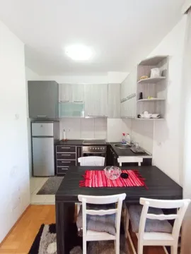 Izdavanje, jednosoban stan, 44m², Tuški Put, Podgorica - image 3