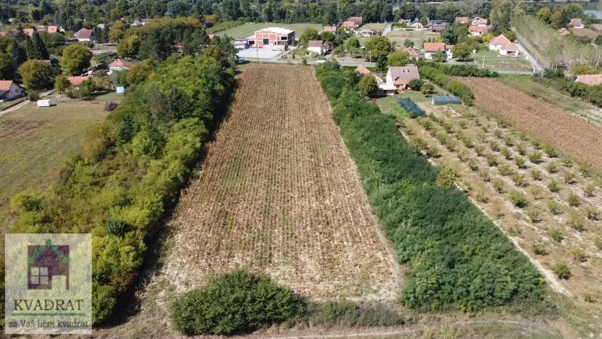 Prodaja, plac, 8300m², Skela, Obrenovac