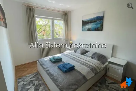 Izdavanje, dvosoban stan, 60m², Stari Merkator, Novi Beograd Sve Podlokacije - image 7