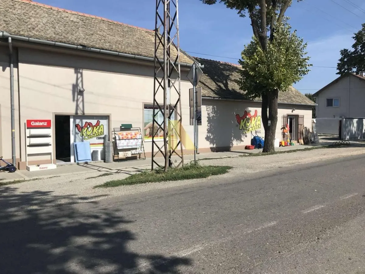 Izdavanje, poslovni prostor, 170m², Žabalj, Srbija