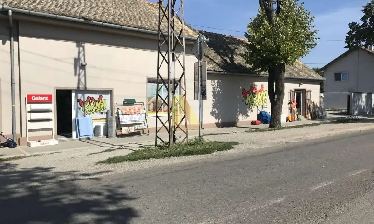 Izdavanje, poslovni prostor, 170m², Žabalj, Srbija