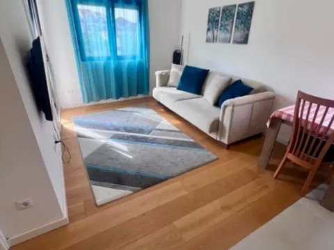 Izdavanje, jednosoban stan, 45m², Blok 6, Podgorica - image 5