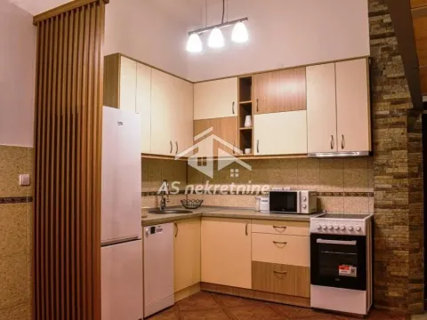 Izdavanje, stan, 74m², Južni Bulevar, Vračar Sve Podlokacije - image 16