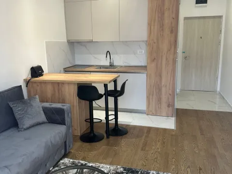 Sale, apartment, 26m², Pobrežje, Podgorica - image 11