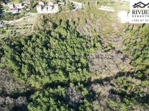 Prodaja, plac, 58950m², Kavač, Kotor - image 6
