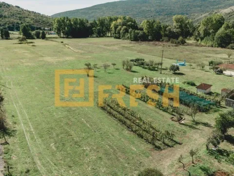 Prodaja, plac, 9600m², Danilovgrad, Crna Gora - image 6