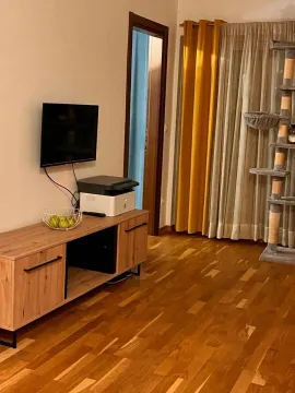 Dnevni boravak sa drvenom komodom, televizorom i stubom za mačke. - image 4