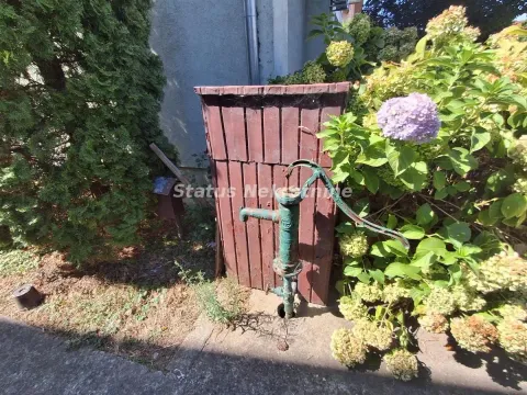 Stara ručna pumpa za vodu u dvorištu. - image 15