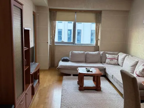 Izdavanje, jednosoban stan, 45m², Centar, Podgorica - image 2