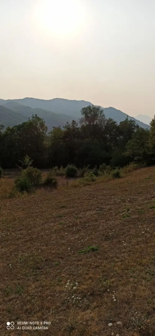 Zemljište sa pogledom na brda i okolnu šumu.