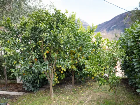 Rent, house, 111m², Lastva Grbaljska, Kotor - image 6