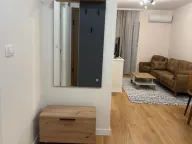 Izdavanje, jednosoban stan, 43m², Central Point, Podgorica - image 4