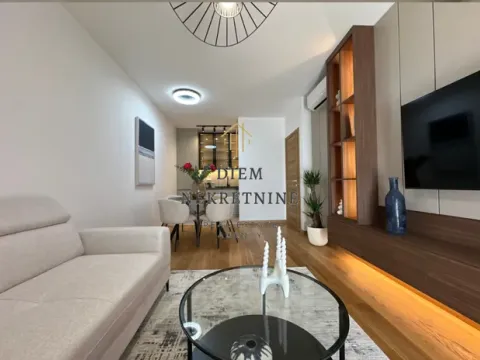 Izdavanje, jednosoban stan, 46m², Centar, Podgorica - image 10