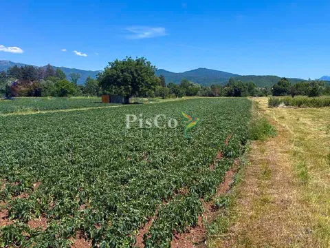 Prodaja, plac, 6077m², Nikšić, Crna Gora - image 3