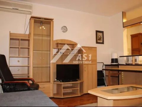 Izdavanje, dvosoban stan, 44m², Centar, Novi Sad - image 3