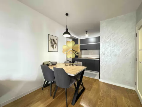 Izdavanje, jednosoban stan, 50m², Central Point, Podgorica - image 3