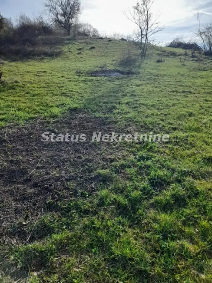 Sale, land lot, 1500m², Sremska Kamenica, Petrovaradin
