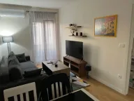 Izdavanje, jednosoban stan, 40m², Central Point, Podgorica - image 8