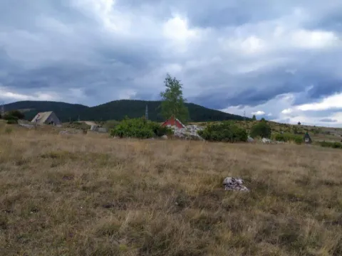 Prodaja, plac, 13600m², Njegovuđa, Žabljak - image 6