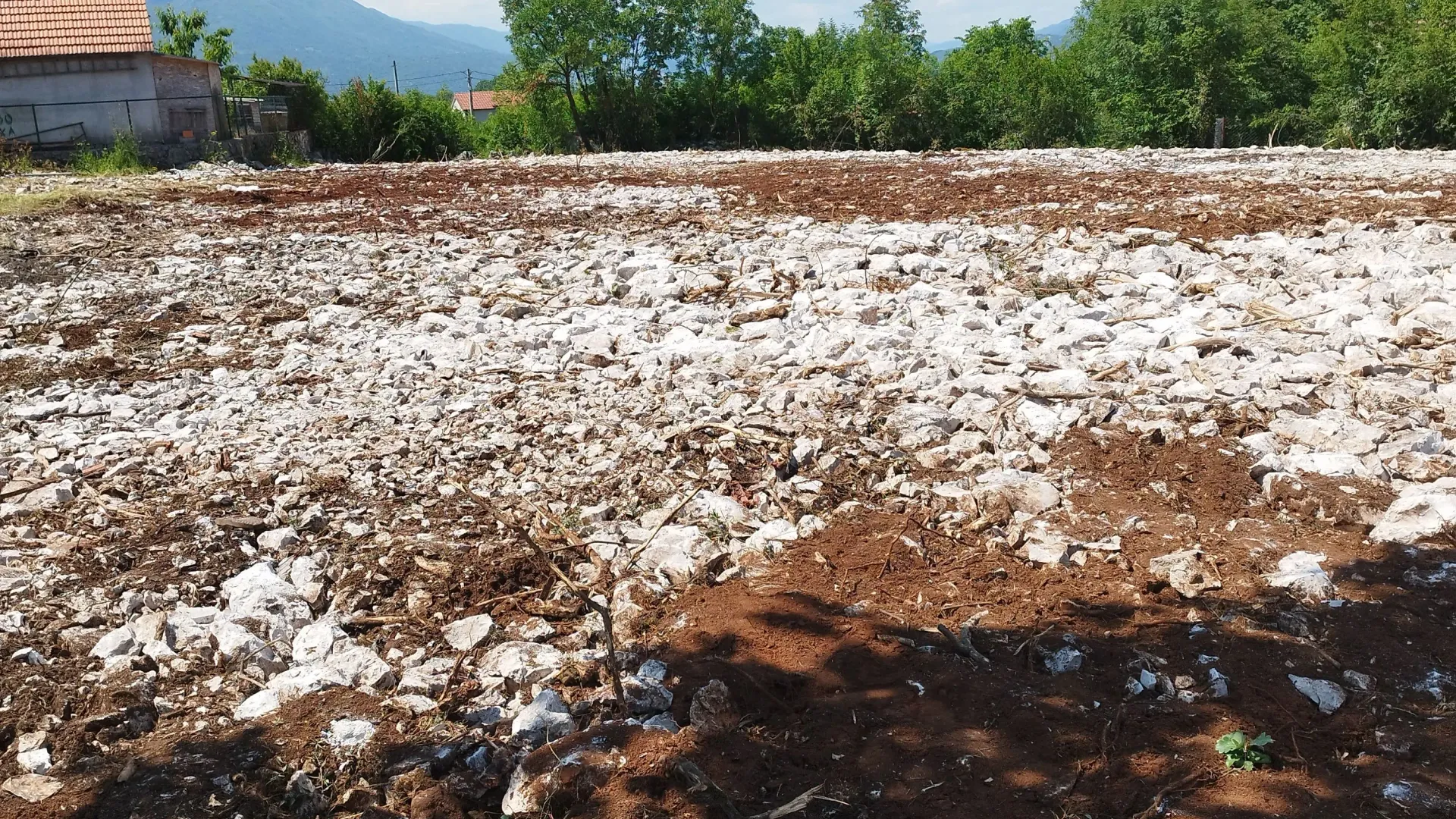Izdavanje, plac, 4300m², Novo Selo, Danilovgrad